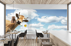 LoopPET Dryapply ASLAN DRL 19