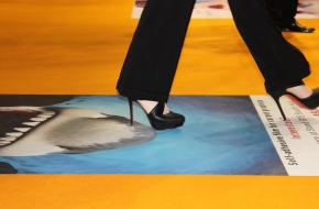 WrapTheCarpet ASLAN DFP 49